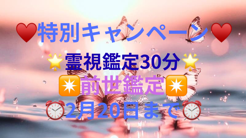 ♥️特別キャンペーン♥️